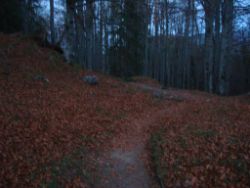 2013-10-26_Schildenstein (428).JPG